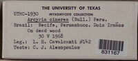 Image Associated With the Occurence